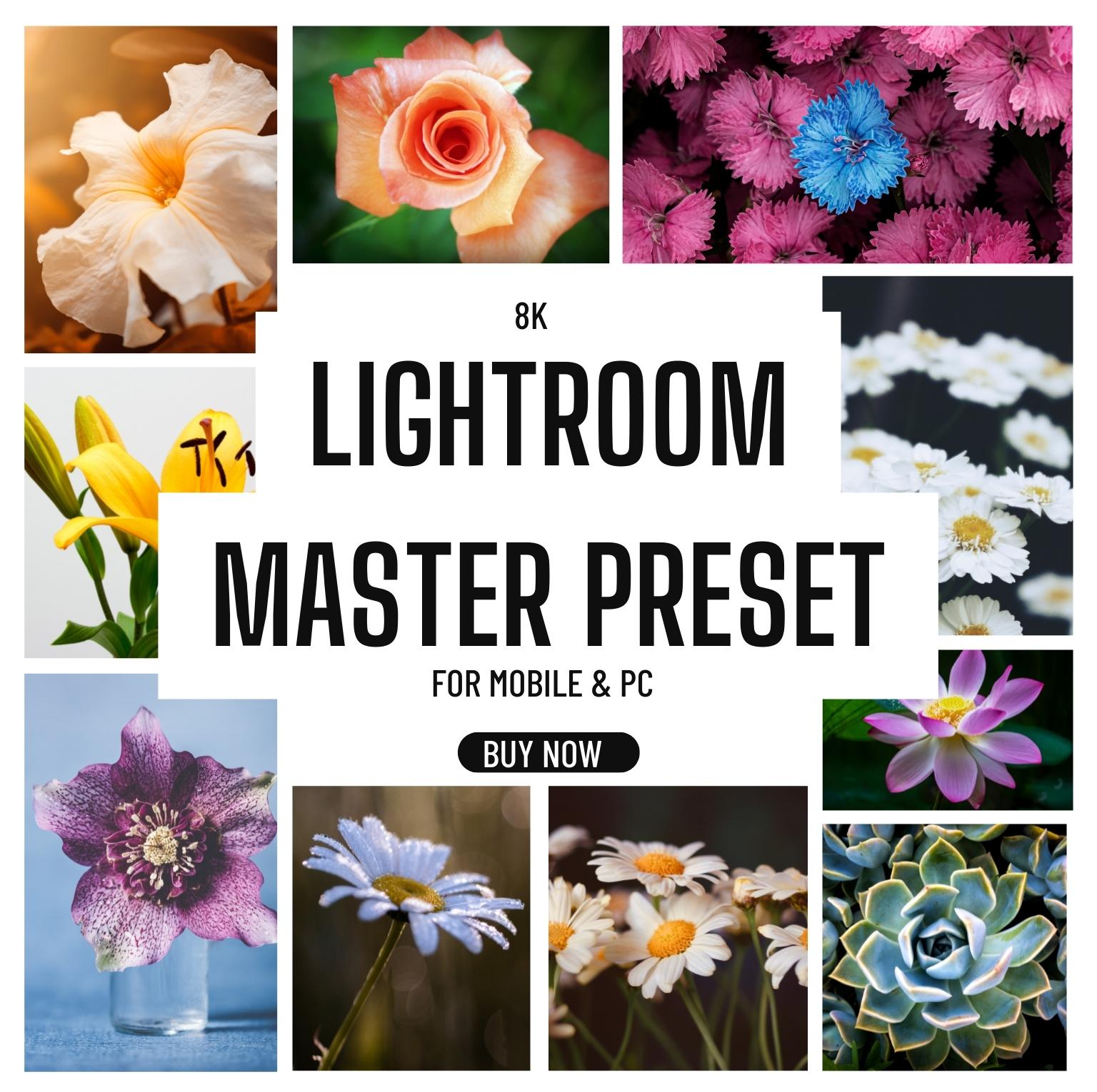 lightroom preset